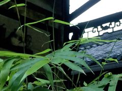 -恺庐茶园(宽窄巷子景区店)