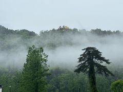 -九华山风景区-东崖禅寺