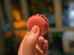 -蝶舍·MAISON PAPILLON