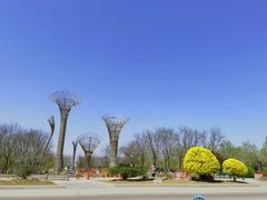 -武清南湖绿博园