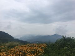 -武陵山森林公园