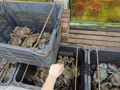 -無招牌海鮮(芽笼店)