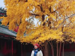 -承恩寺