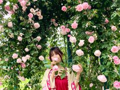 -三圣花乡旅游区