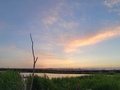 -绿堤公园