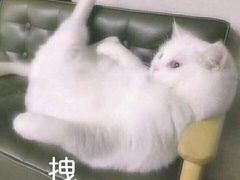 -阜阳富力万达嘉华酒店·美食汇自助餐厅