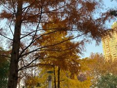 -苏州河梦清园环保主题公园