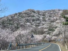 -妙峰山风景名胜区