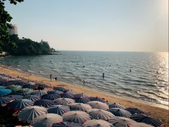 -卷心菜和避孕套餐厅(Pattaya)