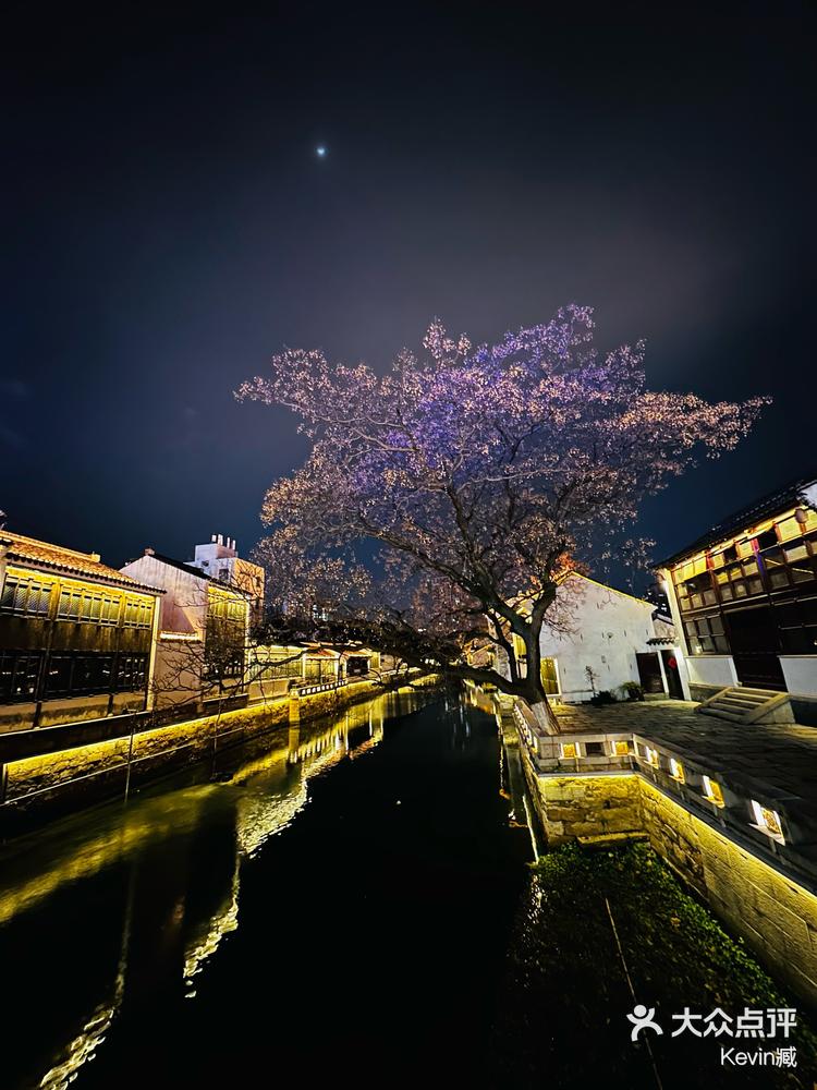 青果巷夜景图片