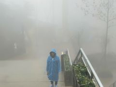 -梦幻奥陶纪景区