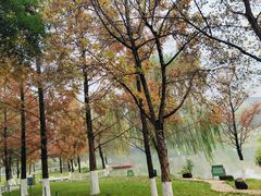 -沐仙湖湿地公园