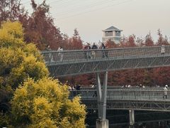 -福道