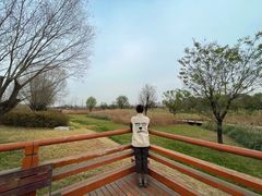 -汉长安城未央宫国家考古遗址公园