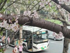 -上海南浦大桥长途旅游客运站