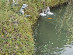 -天毓山庄·餐厅