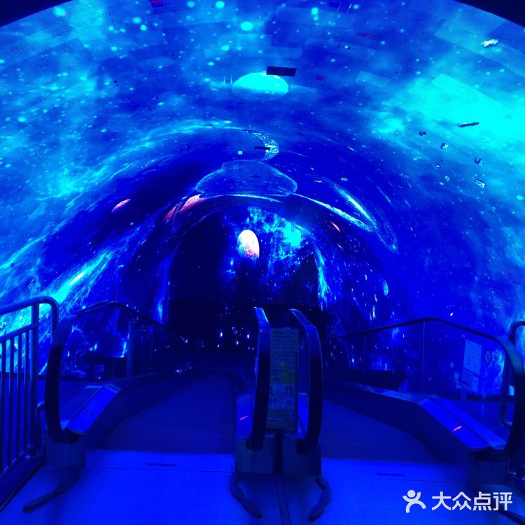 亲子首选👉🏻正佳极地海洋世界