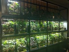 -扶摇湘宴·烤鸭·湘粤宴(中关村·北大店)