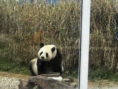 -苏州太湖国家湿地公园