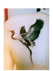 -天道tattoo纹身穿孔工作室