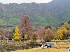 -塔川景区