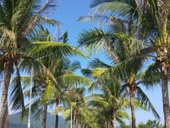 -亚龙湾国际玫瑰谷