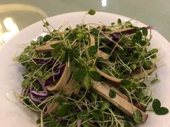 -闫水饺大酒楼·北京老闫靓马饺子馆