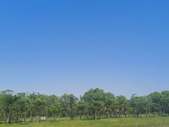 -上海海事大学(临港校区)