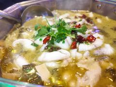 七宇酸菜鱼-七裕庄(凯旋南路店)