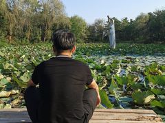 -日照海滨国家森林公园