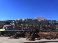 -北京西山国家森林公园