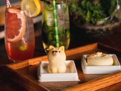 -柴犬高等学院·狗咖·柴犬售卖·宠物训练