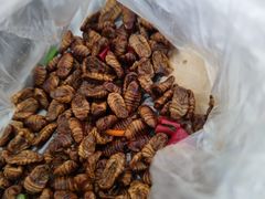 -小菜园新徽菜(青岛市南万象城店)