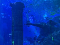 -哈尔滨波塞冬海底世界