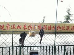 -东方熊牧场
