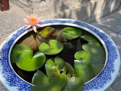 -西安市广仁寺