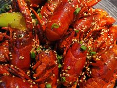 -肥肥虾庄·金牌油焖大虾(沙湖店)