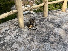 -崂山巨峰游览区