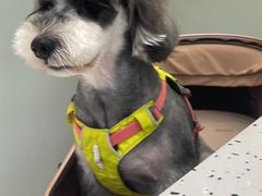 -FAELING PETS美天灵宠物(合生汇店)