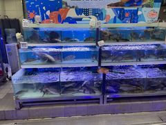 -盒马鲜生(大成店)