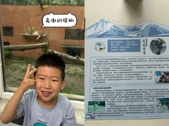 -青藏高原野生动物园