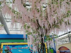 -荷兰花海