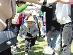 -前小桔亲子创意农场·草莓采摘·露营烧烤