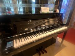 -柏斯音乐艺术中心·钢琴·吉他(上音店)