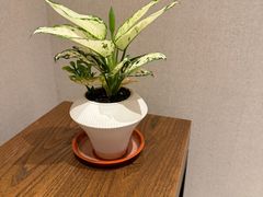 -西湖国宾馆·紫薇厅