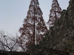 -明故宫遗址公园