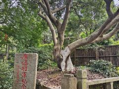 -雨花胜境
