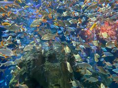 -成都浩海立方海洋公园