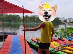 -WhaleSports户外水上运动俱乐部(朝阳公园店)