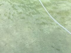 iphone_upload_pic-东姑阿都拉曼海洋公园
